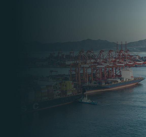 东南亚海陆全程物流服务计划