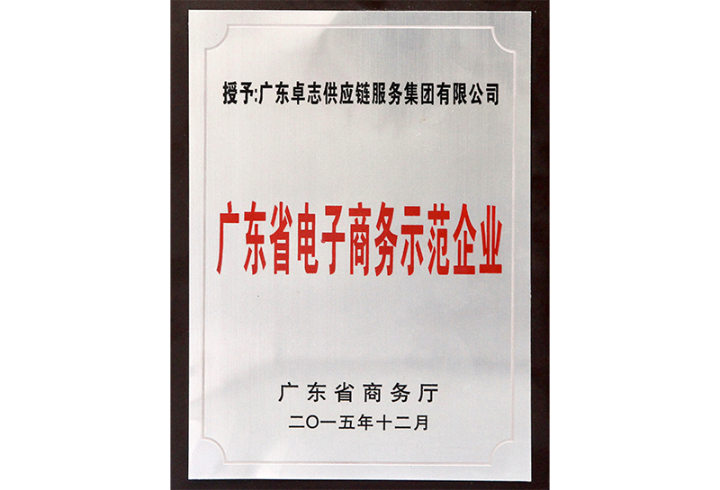 广东省电子商务树模企业
